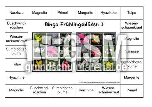 Bingo-Frühlingsblüten-3.pdf